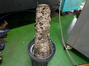 6513dd480f831.jpeg?code=61515